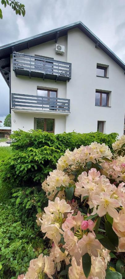 Apartamenty Montania Visla Exteriér fotografie