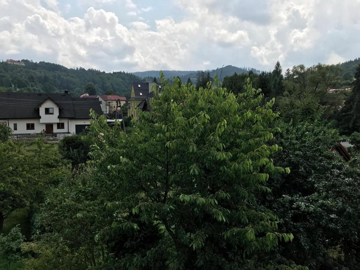 Apartamenty Montania Visla Exteriér fotografie
