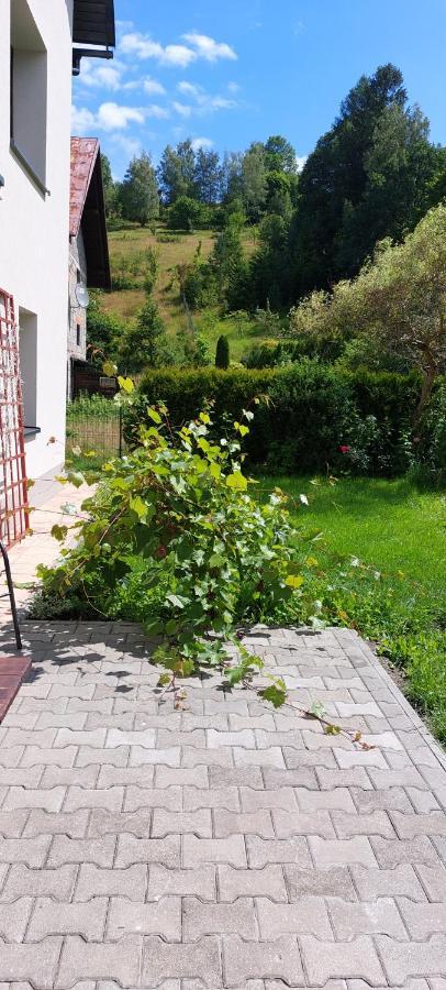 Apartamenty Montania Visla Exteriér fotografie