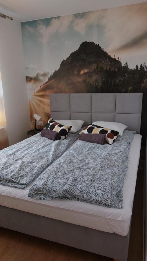 Apartamenty Montania Visla Exteriér fotografie